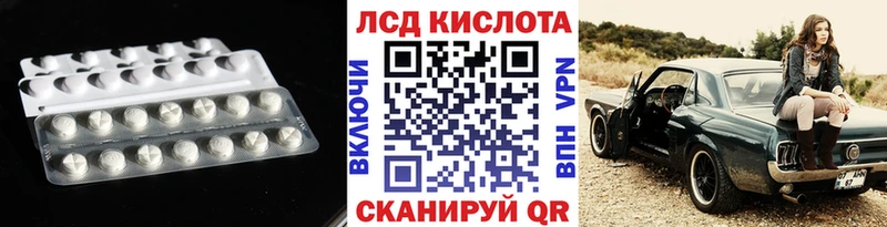 shop как зайти  Каменка  Лсд 25 экстази ecstasy 