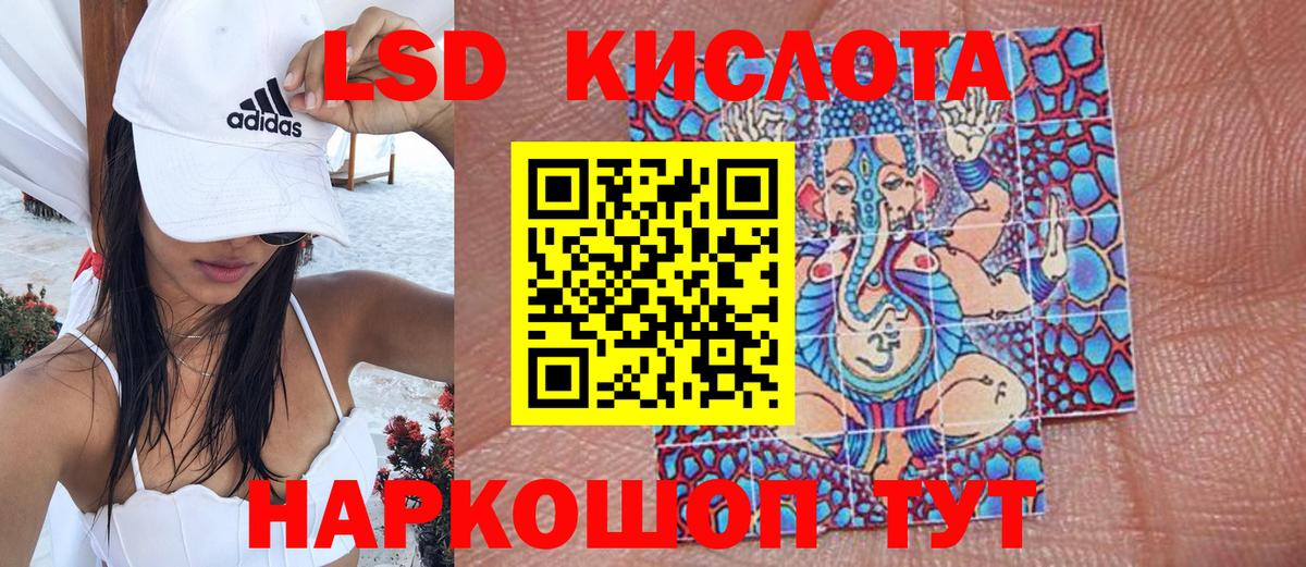 Марки N-bome  Марки N-bome 1500мкг  Каменка  Вход с VPN  Марки N-bome 1500мкг 