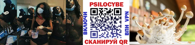где продают наркотики  маркетплейс телеграм  Псилоцибиновые грибы мицелий  Каменка 