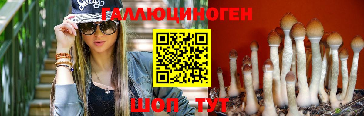 Псилоцибиновые грибы мицелий Каменка