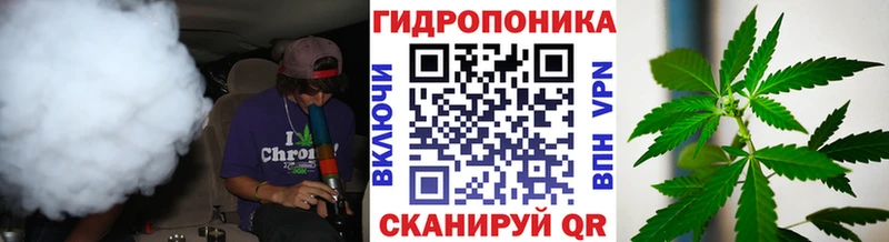 где продают наркотики  Каменка  Каннабис конопля 